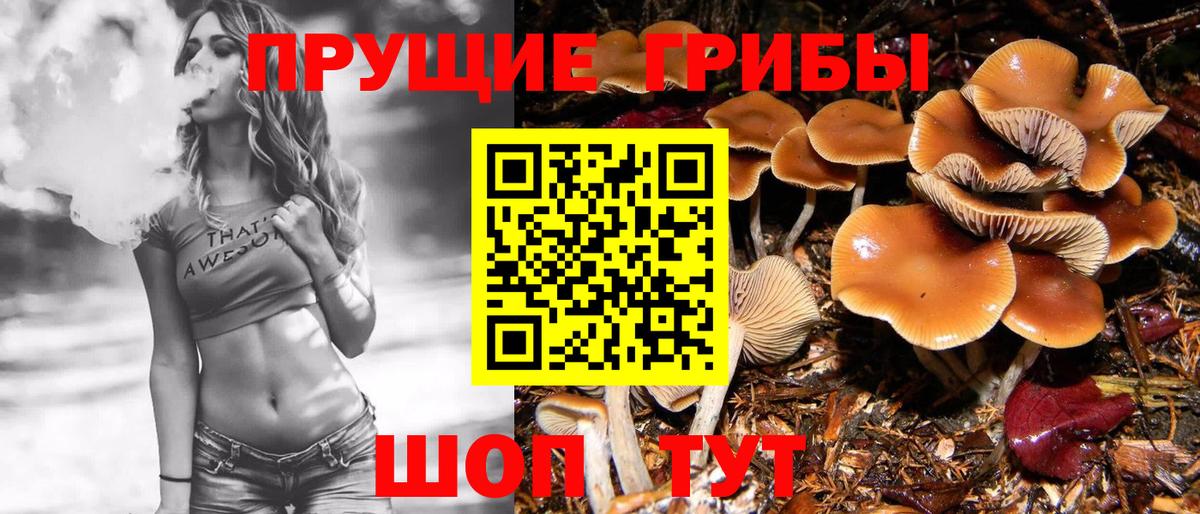 Галлюциногенные грибы Magic Shrooms  Галлюциногенные грибы Magic Shrooms  Вход с VPN  Ртищево 