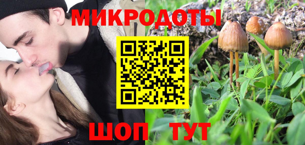 Галлюциногенные грибы MAGIC MUSHROOMS Ртищево